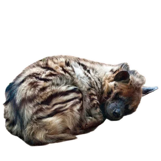 Эмодзи Whoooop