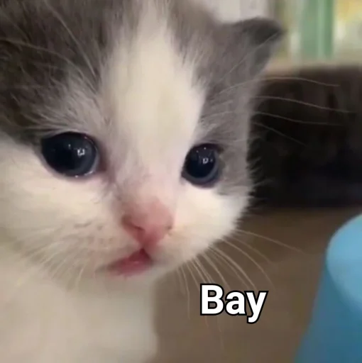 ?