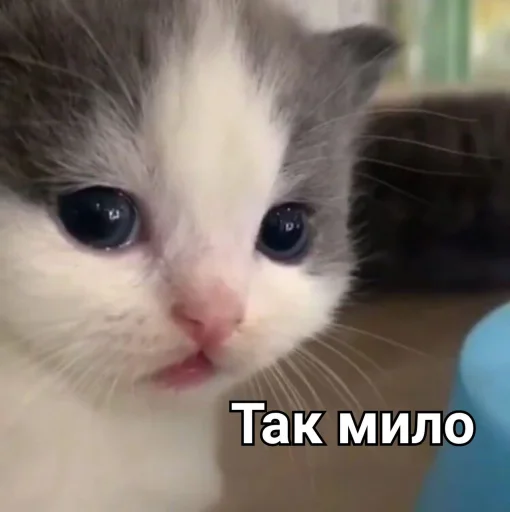 Эмодзи Зачем этот пак существует