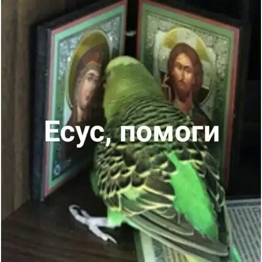 Эмодзи Windy31
