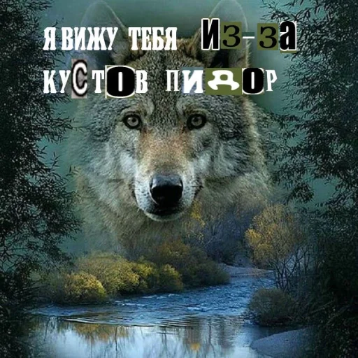 Эмодзи Волчьи цитаты