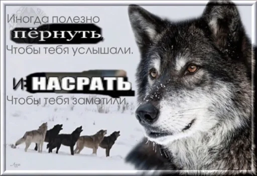 Эмодзи Волчьи цитаты
