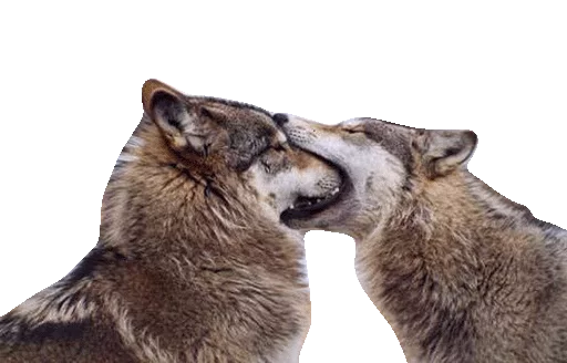 Эмодзи Wolfs