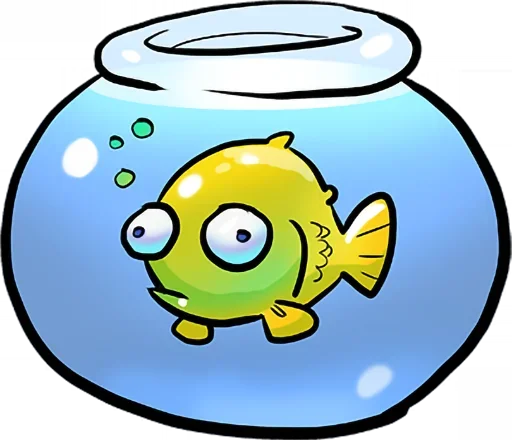 🐟