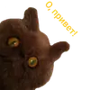 ✋