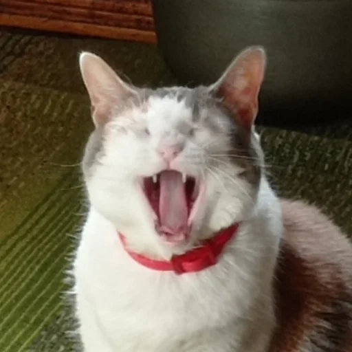 Эмодзи Плод скуки будних дней