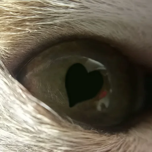 Эмодзи Плод скуки будних дней