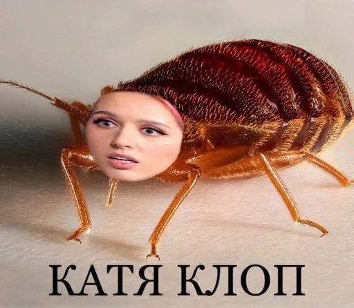 😀