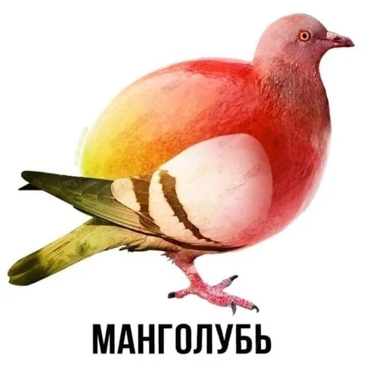 Эмодзи Слово+слово
