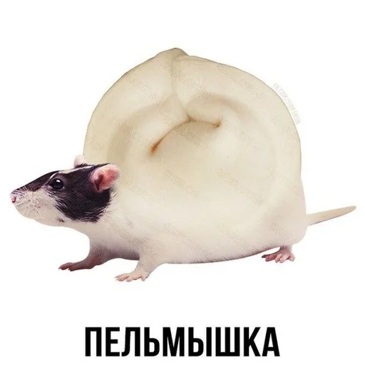Эмодзи Слово+слово