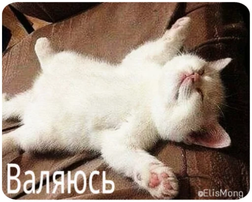 Эмодзи Wow! Elis Mong!