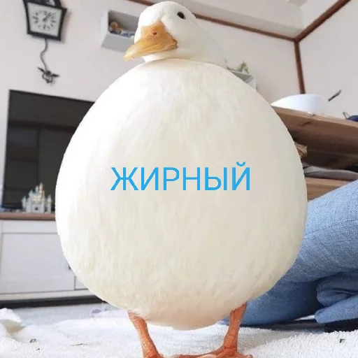 Эмодзи Я гусь