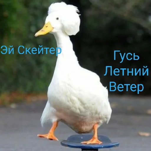 Эмодзи Я гусь