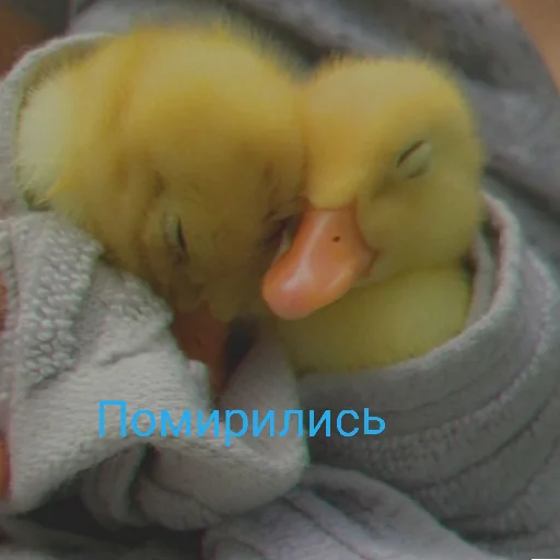 Эмодзи Я гусь