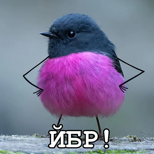 Эмодзи ЙБР
