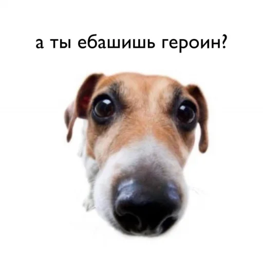 Эмодзи Я в КАКАО