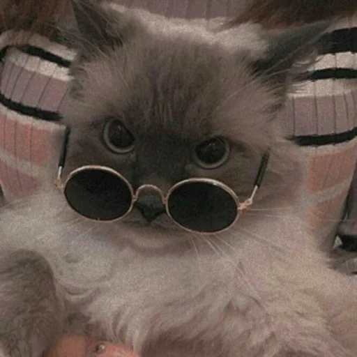 😎