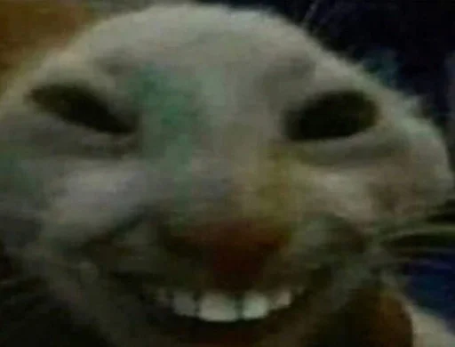 ?