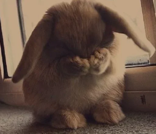 Эмодзи Young Bunny