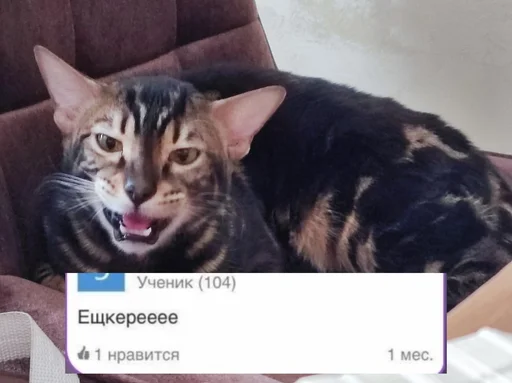 Эмодзи ⚡ZEUS V 2.0⚡