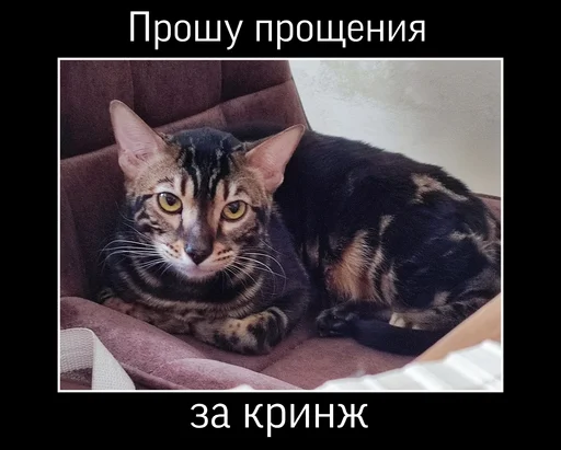 Эмодзи ⚡ZEUS V 2.0⚡