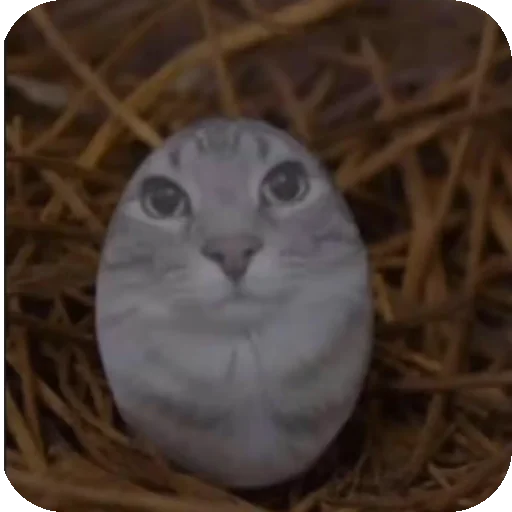Эмодзи Зазу