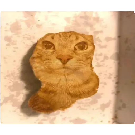 Эмодзи Зазу