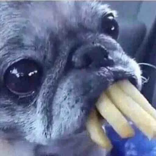 Эмодзи Memes | Мемы