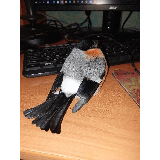 Эмодзи Стикероус