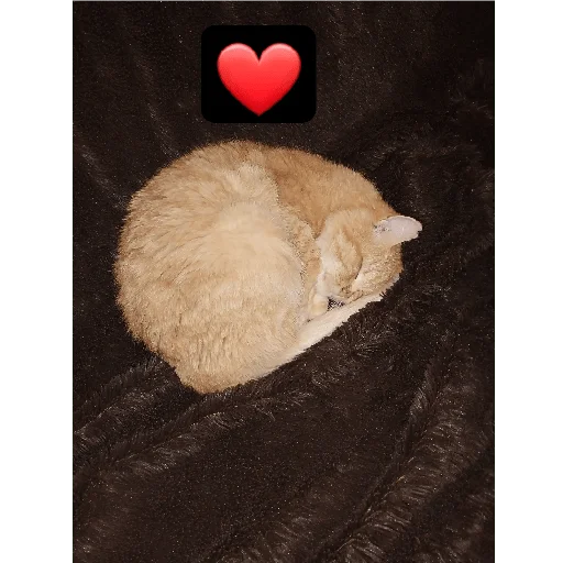 Эмодзи Стикероус