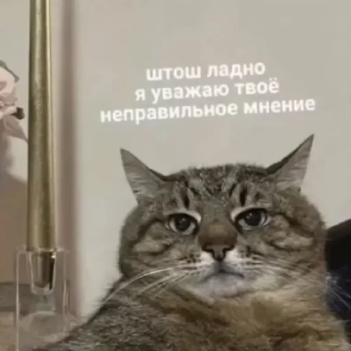 Эмодзи Жизяка🥲