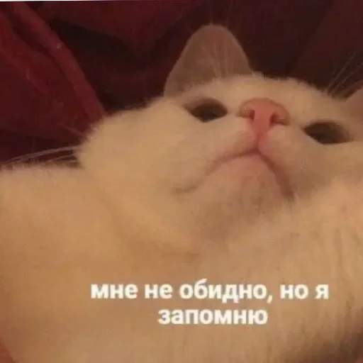 Эмодзи Жизяка🥲