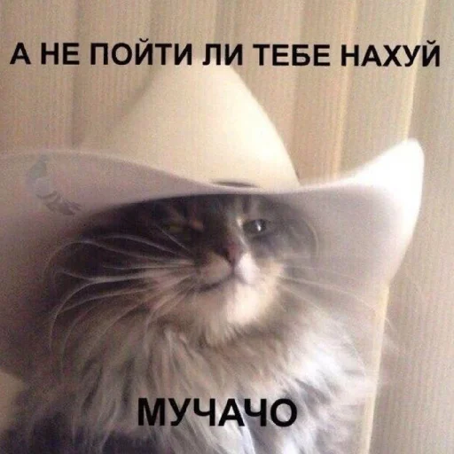 Эмодзи Жизяка🥲