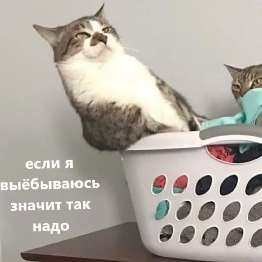 Эмодзи Жизяка🥲