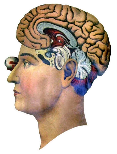 Эмодзи Art