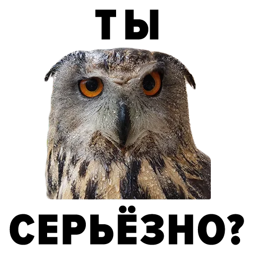 Эмодзи Zoology