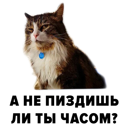 Эмодзи Zoology