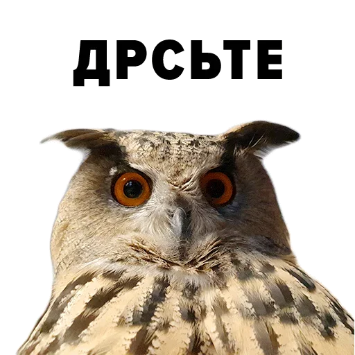 Эмодзи Zoology