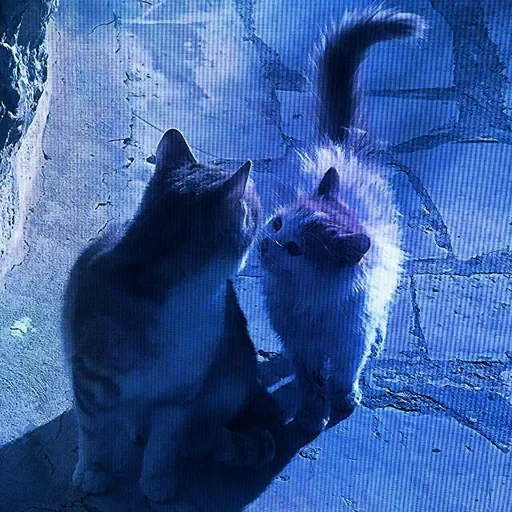 Эмодзи Котик