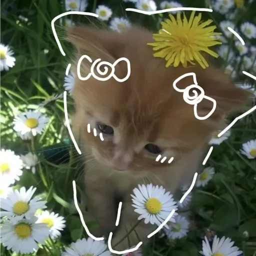 Эмодзи Котик