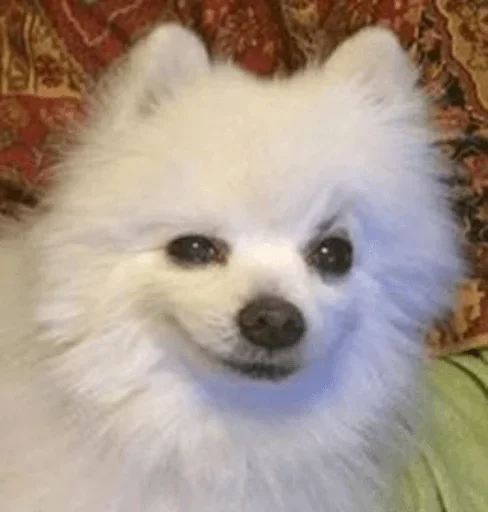 Эмодзи Animals