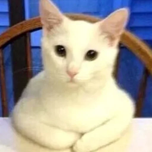 Эмодзи Animals