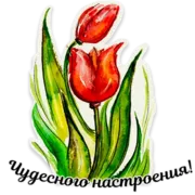 Эмодзи Акварель