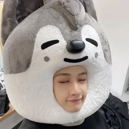 Эмодзи Stray Kids
