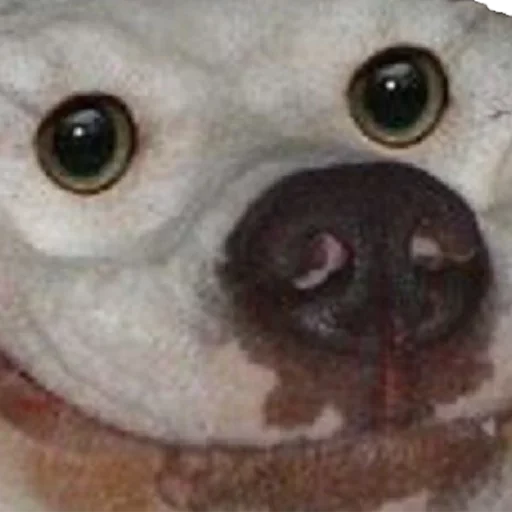 Эмодзи Адский Жар