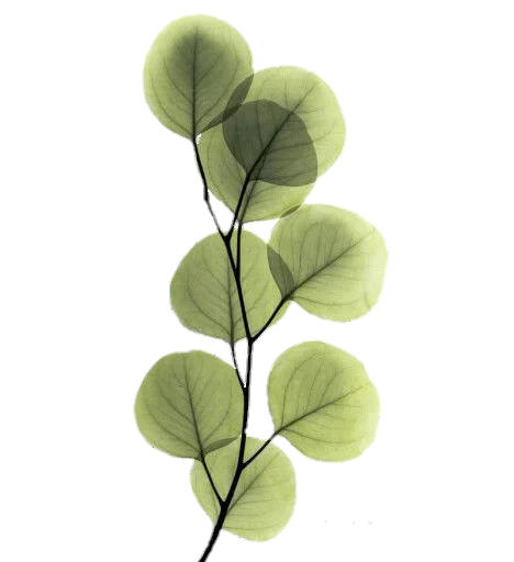 Эмодзи aesthetic