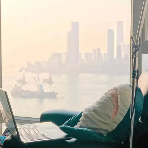 Эмодзи Акулка