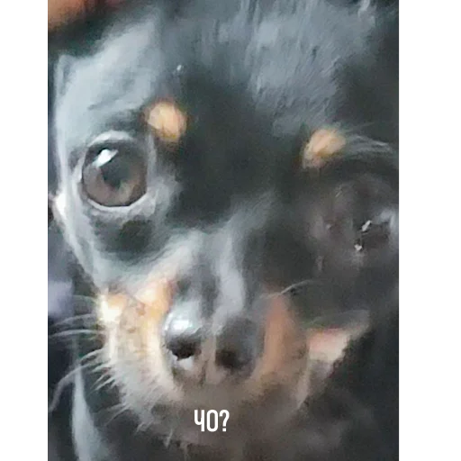 Эмодзи Alma moment