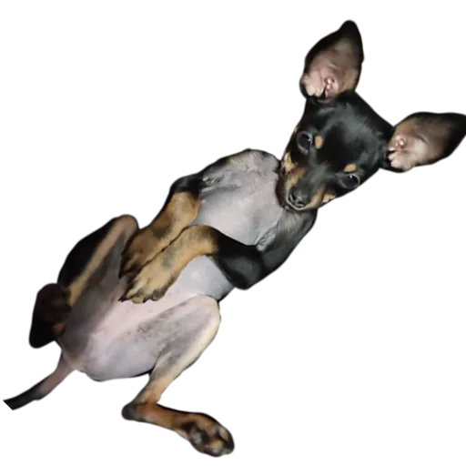 Эмодзи Alma moment