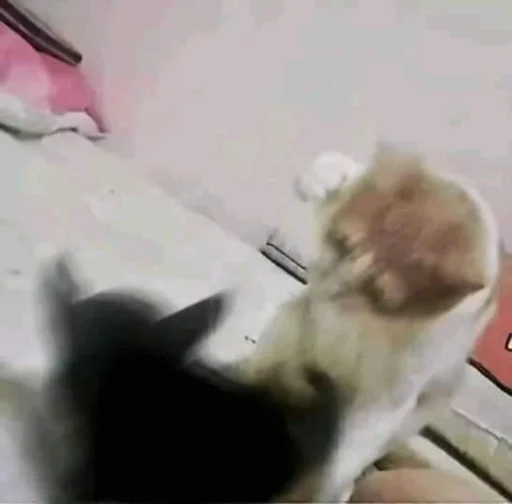 Эмодзи ಥ_ಥ